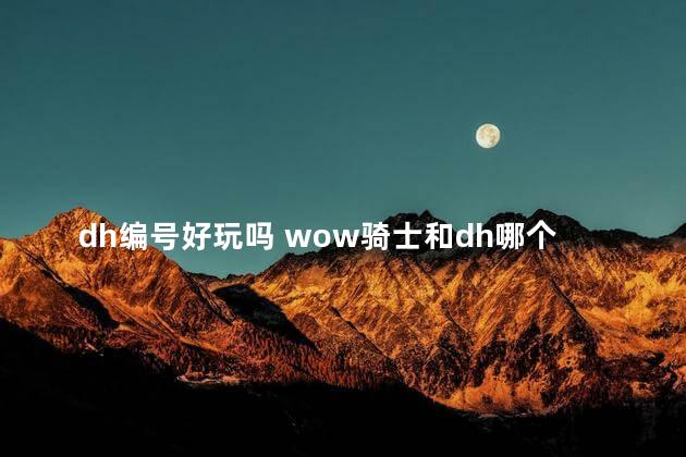 dh编号好玩吗 wow骑士和dh哪个好玩